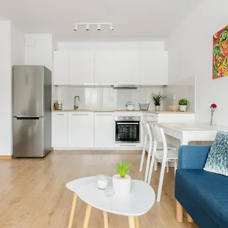 Aparthouse Gdanska 罗兹